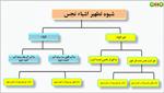 دانلود-پاورپوینت-درس-نهم-پیام-های-آسمانی-پایه-هفتم-به-سوی-پاکی