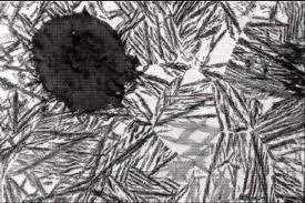 بررسی ساختار میکروسکوپی چدن خاکستری کم کربن (متالوگرافی)