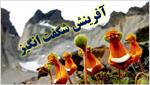 پاورپوینت-درس-اول-پیامهای-آسمان-پایه-هشتم--آفرینش-شگفت-انگیز