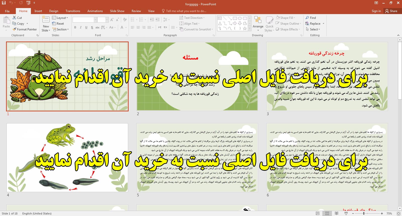 دانلود طرح جابر ابن حیان در  مورد مراحل رشد قورباغه
