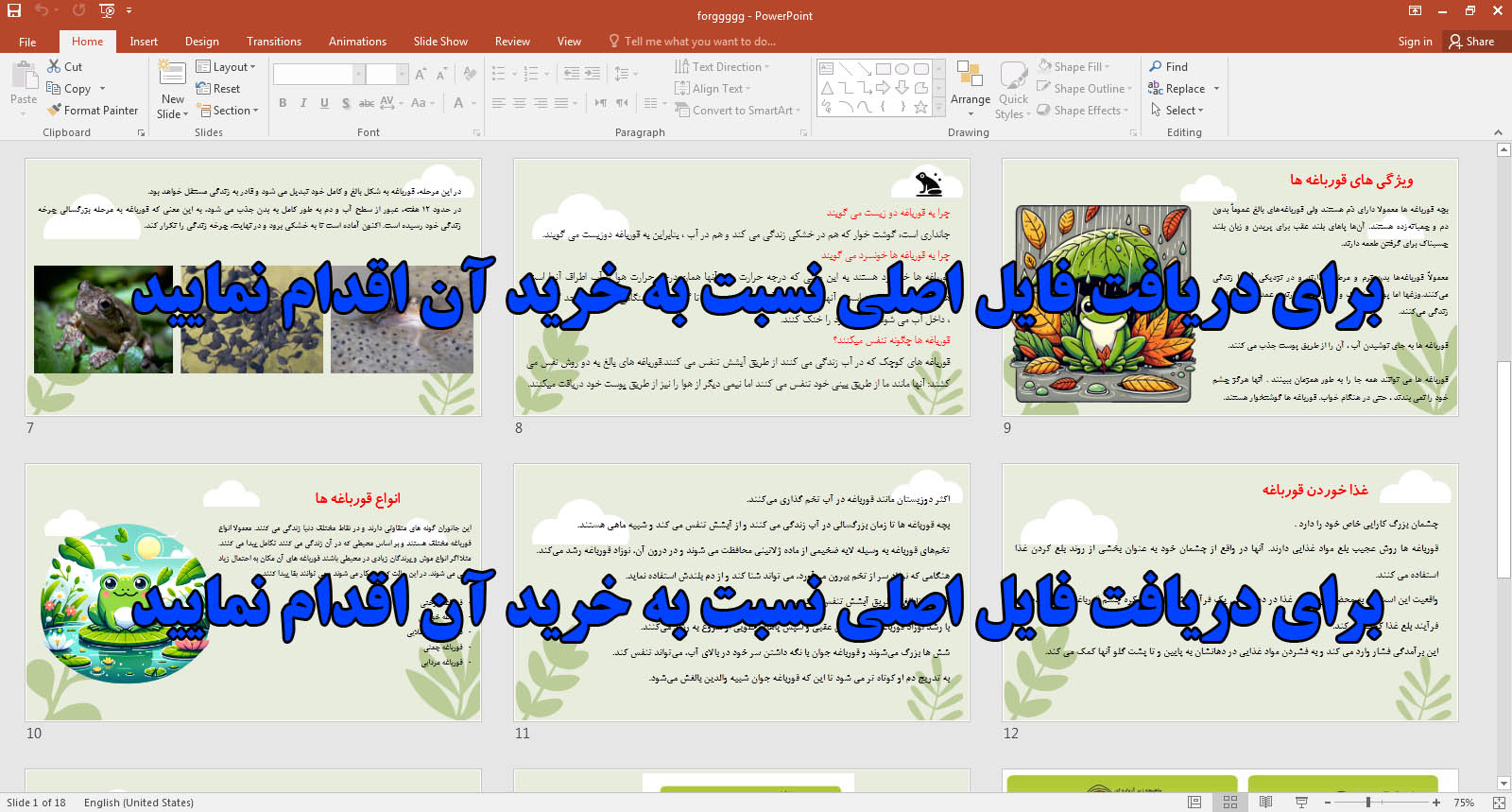 طرح جابر مراحل رشد قورباغه