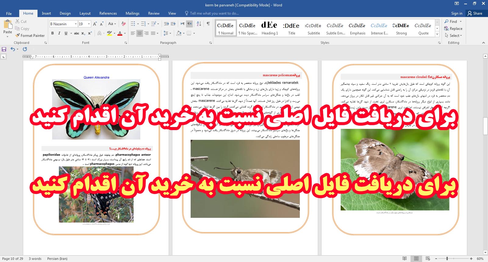 طرح جابر جدید در مورد تبدیل کرم به پروانه